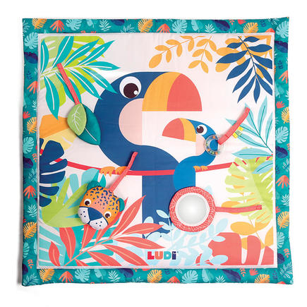 Gimnasio Toucan Ludi
