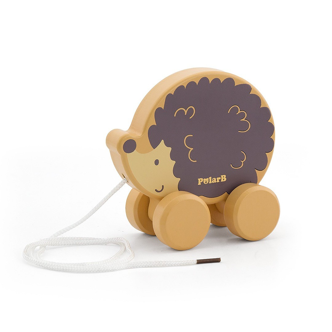 Erizo de arrastre Polar B